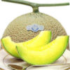 CROWN MELON from Shizuoka Japan crownmelon_cut